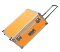 Available to Customize Utility Trolley Case in Different Fresh Color
