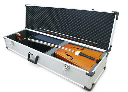 musical instrument case
