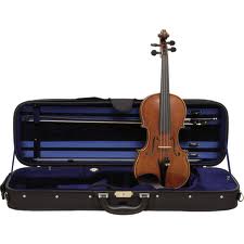 Rack case for violin