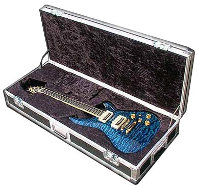 guitar case